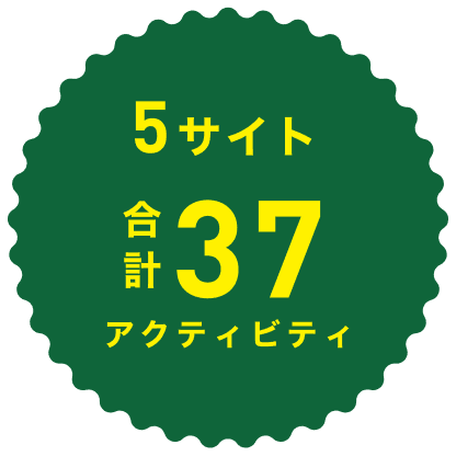 5サイト合計37アクティビティ